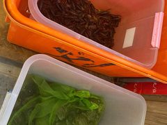 -蛙太牛牛肉海鲜自助火锅(台江万达店)