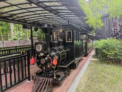 -黄海国家森林公园