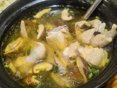 -呼吸森林·生态农庄农家乐私房菜