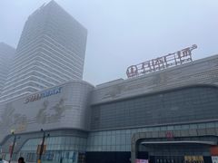 -万达广场(东营西城店)