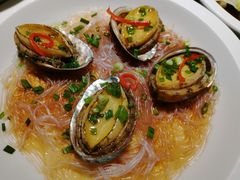 -新白鹿餐厅(松江开元地中海店)