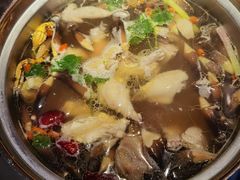 -千岛蚝高压锅生蚝·人参火锅(白云万达店)