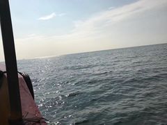 -江山半岛白浪滩景区