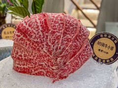 -喜聚薈·花膠雞海鮮火鍋(越秀店)