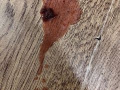 -萌兽医馆·犬猫专科·眼科中心·宠物医院(朝阳门分院)