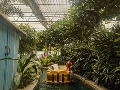 -南宫五洲植物乐园