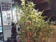 -西塘人家•黑金冠本地好店