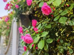 -南京晨光1865创意产业园