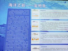 -上海海洋大学鱼文化博物馆(军工路校区)