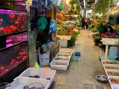 -双季花艺园艺市场(浦东店)