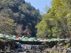-石台牯牛降景区