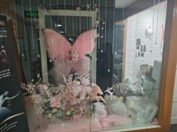 -艾薇芭蕾艺术中心