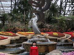 -南山植物园