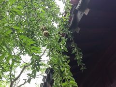 -幕燕滨江·燕子矶公园
