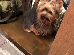 -喜福楼(中平街店)