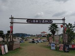 -空港花田景区