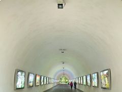 -深圳国际园林花卉博览园