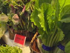 -村长家的疙瘩汤·东营菜(东营茶城店)