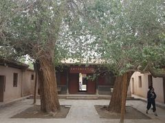 -敦煌石窟文物保护研究陈列中心