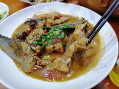 -全乐鱼馆·淳牌有机鱼直营店