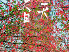 -塔子山公园