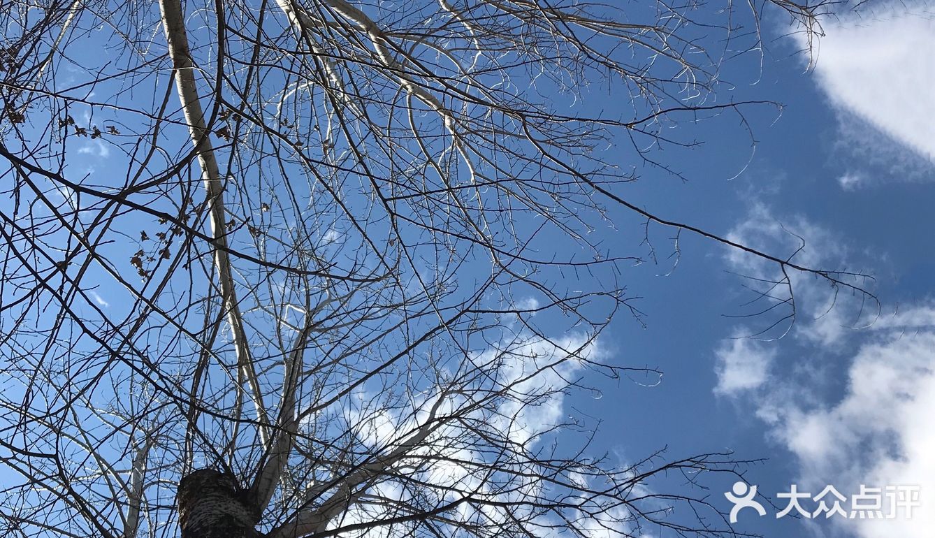 春日暖阳下的咖啡～