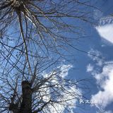 春日暖阳下的咖啡～