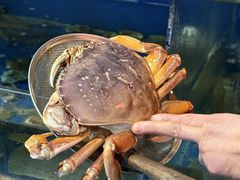 -广记海鲜(杨汊湖一店)