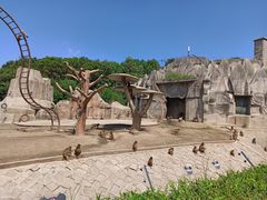 -哈尔滨北方森林动物园
