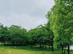 -盘龙城国家考古遗址公园