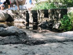 -碓臼峪自然风景区