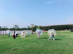 -武汉紫薇都市田园