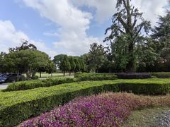 -旭宝高尔夫俱乐部