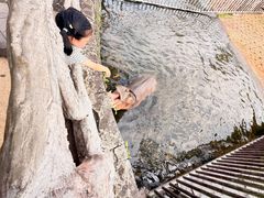 -海南热带野生动植物园