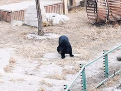 -石家庄市动物园