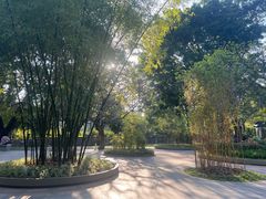 -晓港公园