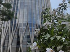 -深圳湾万象城(南山店)