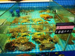 水产区-百味饺子城•海鲜家常菜(秦皇岛店)