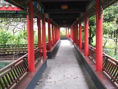 -南汇桃花村