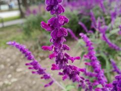 -汉长安城未央宫国家考古遗址公园