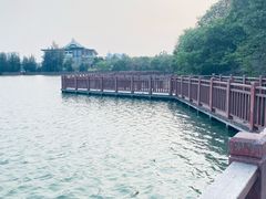 -五缘湾湿地公园