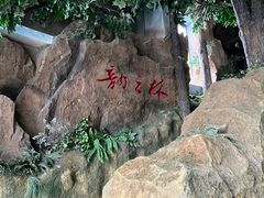 -吉林省自然博物馆