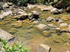 -广州白江湖森林公园