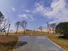 -盘龙城国家考古遗址公园