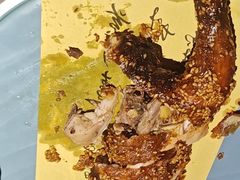 -锦上中式酒馆(南内环店)