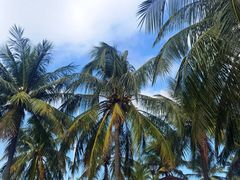 -白沙门生态公园