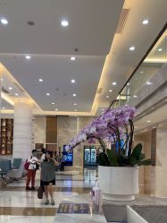 -广州曙光医学美容医院