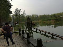 -合肥滨湖国家森林公园