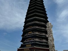 -红梅公园