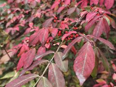 -野三坡百草畔景区